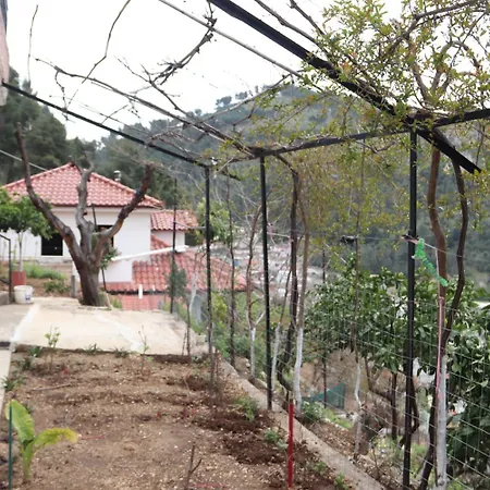 Desao *
